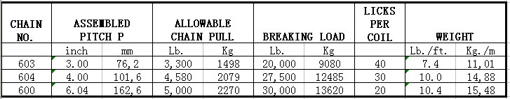 667XH ISO Certified Steel Conveyor With (special) Attachments Pintle Chain Made in Vietnam