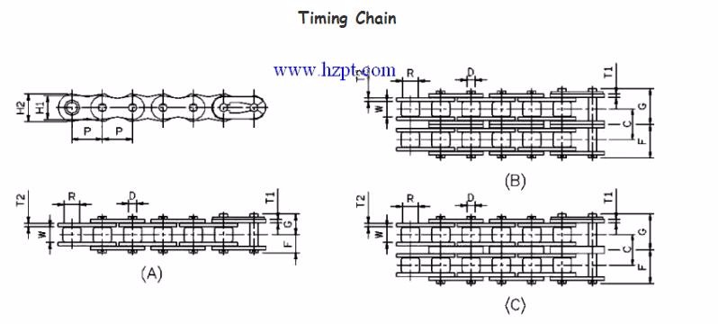 Stainless Steel Timing Double Pitch Conveyor Transmission Attachment Roller Chain Made in Vietnam