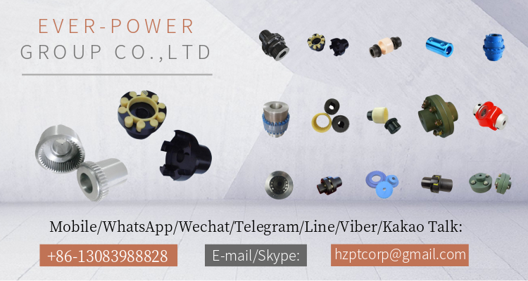 High Tolerance Connector Spacer Disc Drive Coupling for Pump Machine Tariff-free