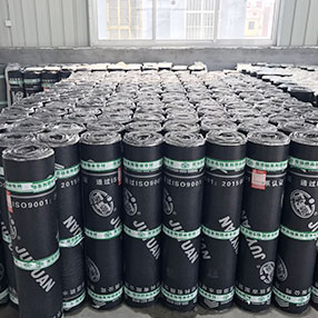 Waste VOCs Exhaust Gas Treatment RTO Regenerative Thermal Oxidizer for Film Coating SBS Industry Made in Vietnam