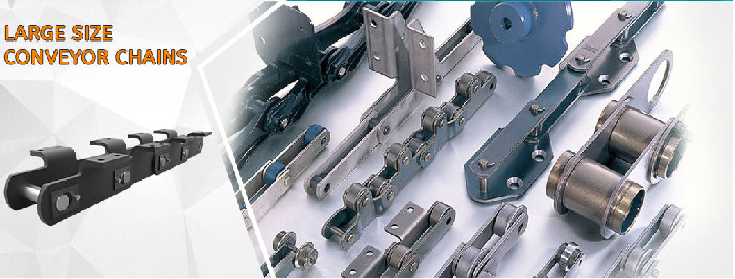 Tariff-free Chains C2102HSS C20202 Heavy Duty Double Pitch Stainless Steel Industrial Roller Conveyor Chain Made in Vietnam
