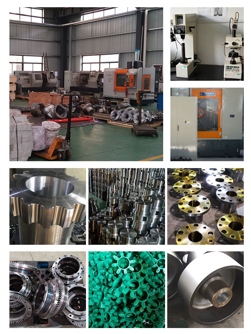 MT-4 MT-5 MT-6 Flexible Spider Jaw Coupling for GENERAL MACHINERY OEM Customized Made in Vietnam