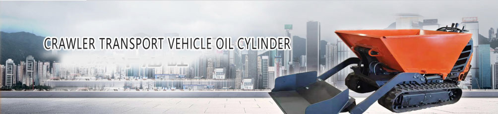 ASTLDC500.10.7 Hydraulic Cylinder Tax-Free Product Vietnam Factory Crawler Transport Vehicle Pump Engine Gear Core Components
