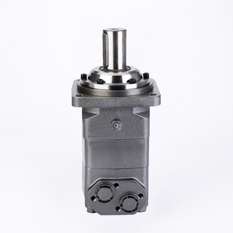 Vietnam Factory BMV Series Cycloidal Orbit Orbital Hydraulic Motor Tariff-free