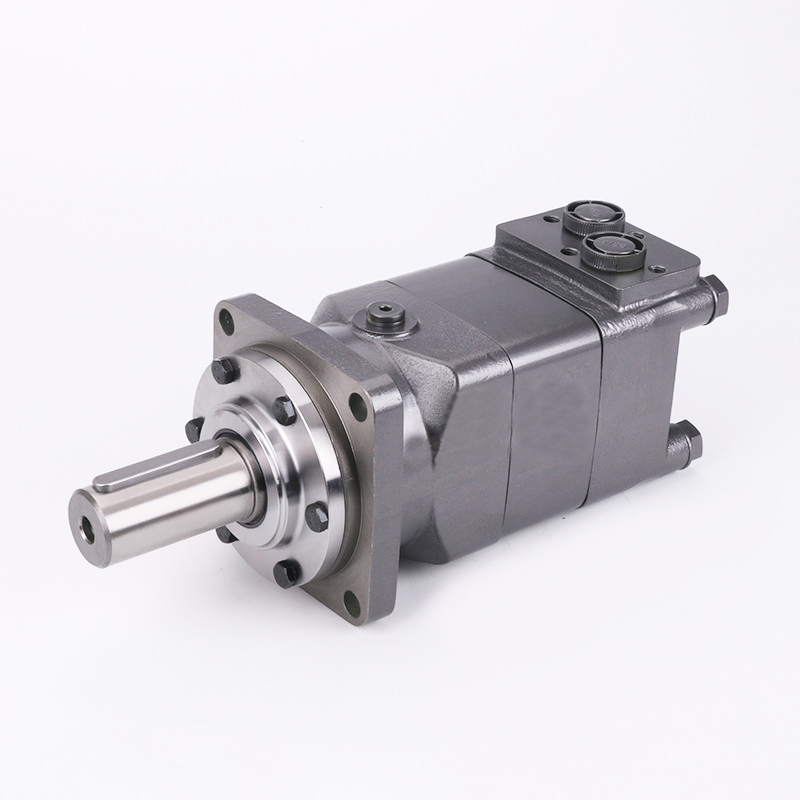 Vietnam Factory BMH Series Cycloidal Orbit Orbital Hydraulic Motor Tariff-free