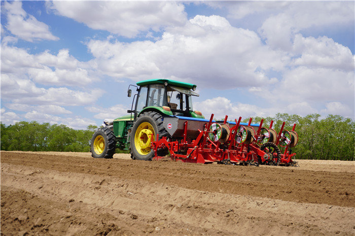 Factory China Chisel Plow for Small Tractor Made in Vietnam Tariff-free
