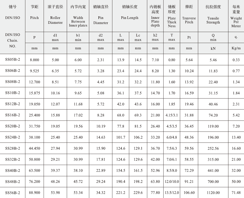 Tariff-free SS10B-2 B Series Stainless Short Pitch Precision Duplex Roller Chain  Made in Vietnam