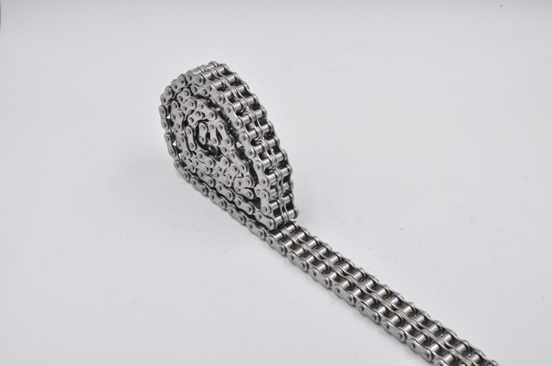 Tariff-free SS10B-2 B Series Stainless Short Pitch Precision Duplex Roller Chain  Made in Vietnam