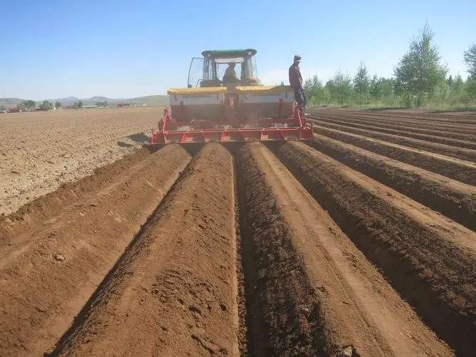 Factory What Is a Spring Tooth Harrow Made in Vietnam Tariff-free