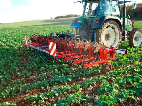 Factory What Is a Spring Tooth Harrow Made in Vietnam Tariff-free
