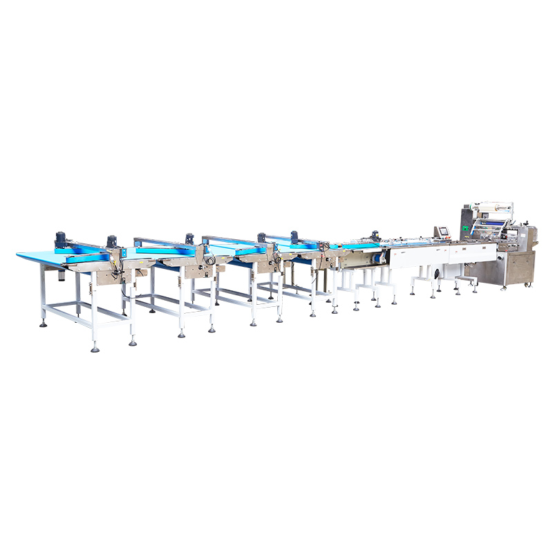 SN-II Direct Fraction Handling Automatic Material Sorting Packaging Machine Tariff-free