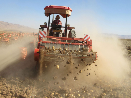AWB-1600B High Efficiency 2 ROWS Potato Harvester 1200kg Potato Digger for Carrots, or Onions Without Damage